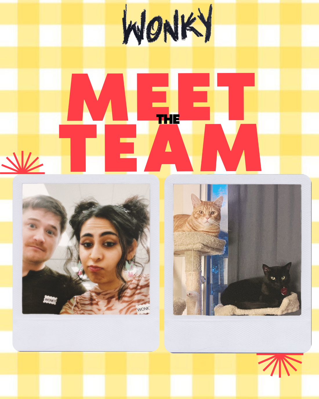 ☁️ hello from the humans