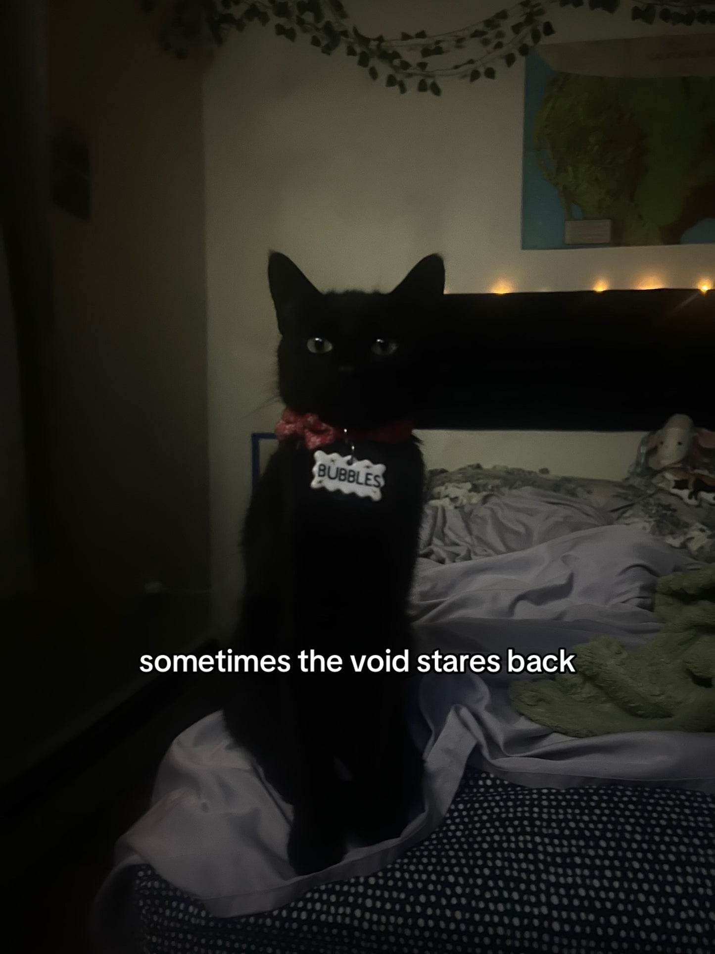 pet name tag