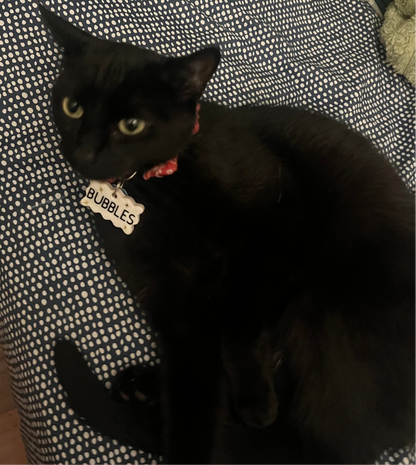pet name tag