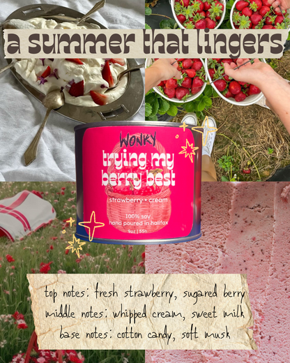 a summer that lingers full collection