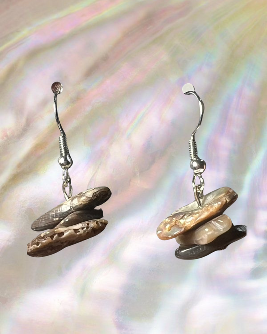 abalone shell earrings