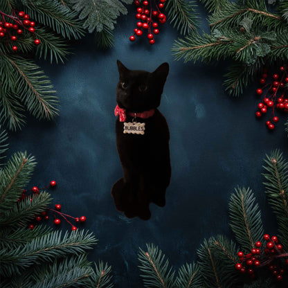 pet name tag
