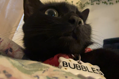 pet name tag