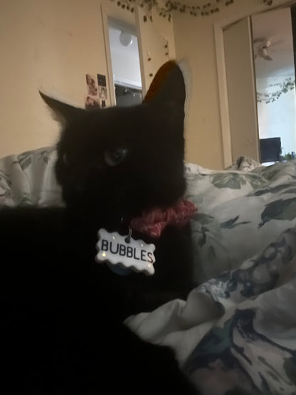 pet name tag