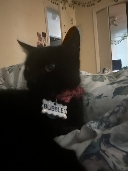 pet name tag
